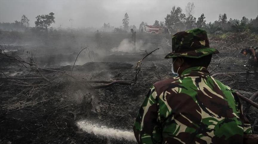 Seorang personil TNI menyiramkan air di wilayah hutan yang terbakar di Desa Rimbo Panjang, Kampar, Riau pada 6 Agustus 2015. Perkebunan kelapa sawit ditengarai menjadi penyebabnya. Meski, di tahun-tahun ini jumlah kebakaran hutan sudah berkurang drastic. (Yenni Safana - Anadolu Agency)